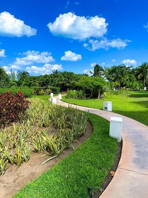 Punta Me Luxury Apartments Ocean View & Beach Front In Amara Cancun Mexico